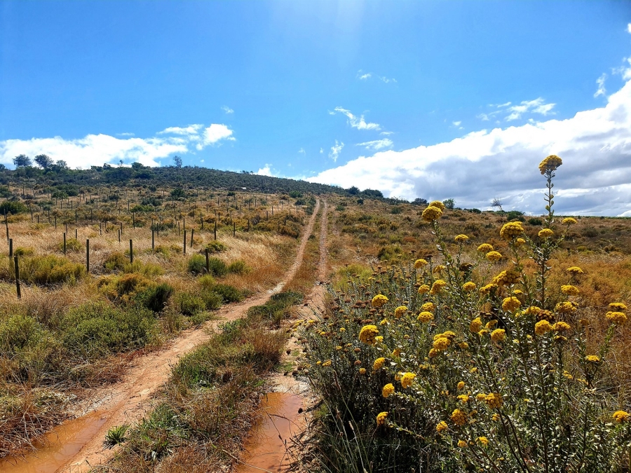 Commercial Property for Sale in Bonnievale Western Cape